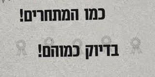 רוזטות אפורות שקופות